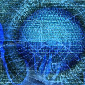 Indiana Tech and Privacy Chiefs Discuss State AI Usage