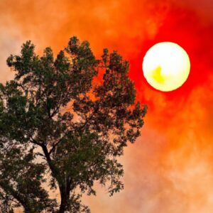 Record-breaking Heatwave Hits Western States, Threatening Infrastructure