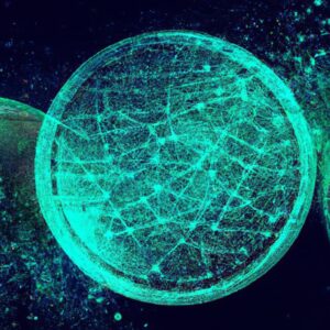 Coinbase’s First AI Agent Crypto Transaction