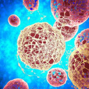 AC Society investigates AI’s role in antibiotic development
