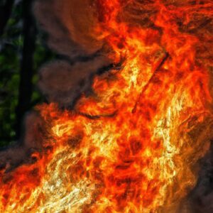 Local hero saves family from burning house