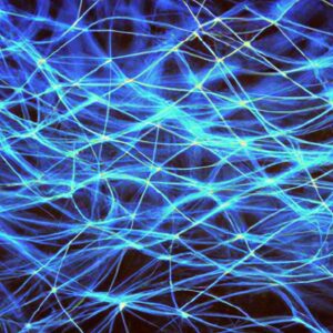 Sam Altman: Learning AI key to humans keeping jobs
