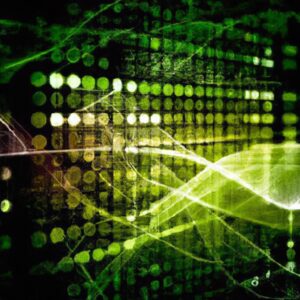 Nvidia Corp Stock Quote Surges on Latest Earnings Report