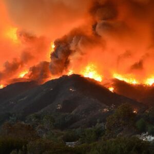 Wildfires Ravage California Coast, Threatening Homes and Wildlife