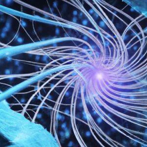 CERN Utilizes AI to Transform Cancer Care