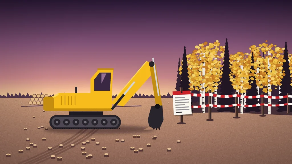 News illustration: a yellow excavator sits idle on a cleared, stump-covered sandy site at dusk, its bucket lowered just short of a red-and-white barrier tape with a white notice pinned to a post, in front of a standing line of dark spruce and golden autumn birch trees under a plum sky.